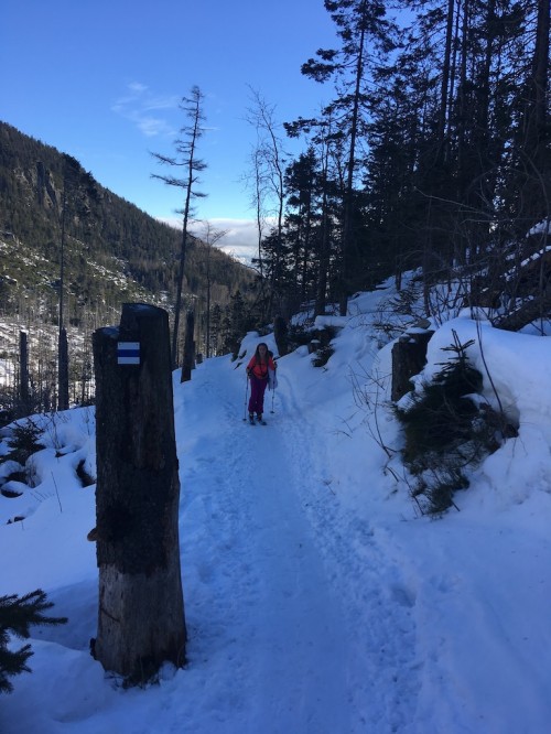 Ski touring